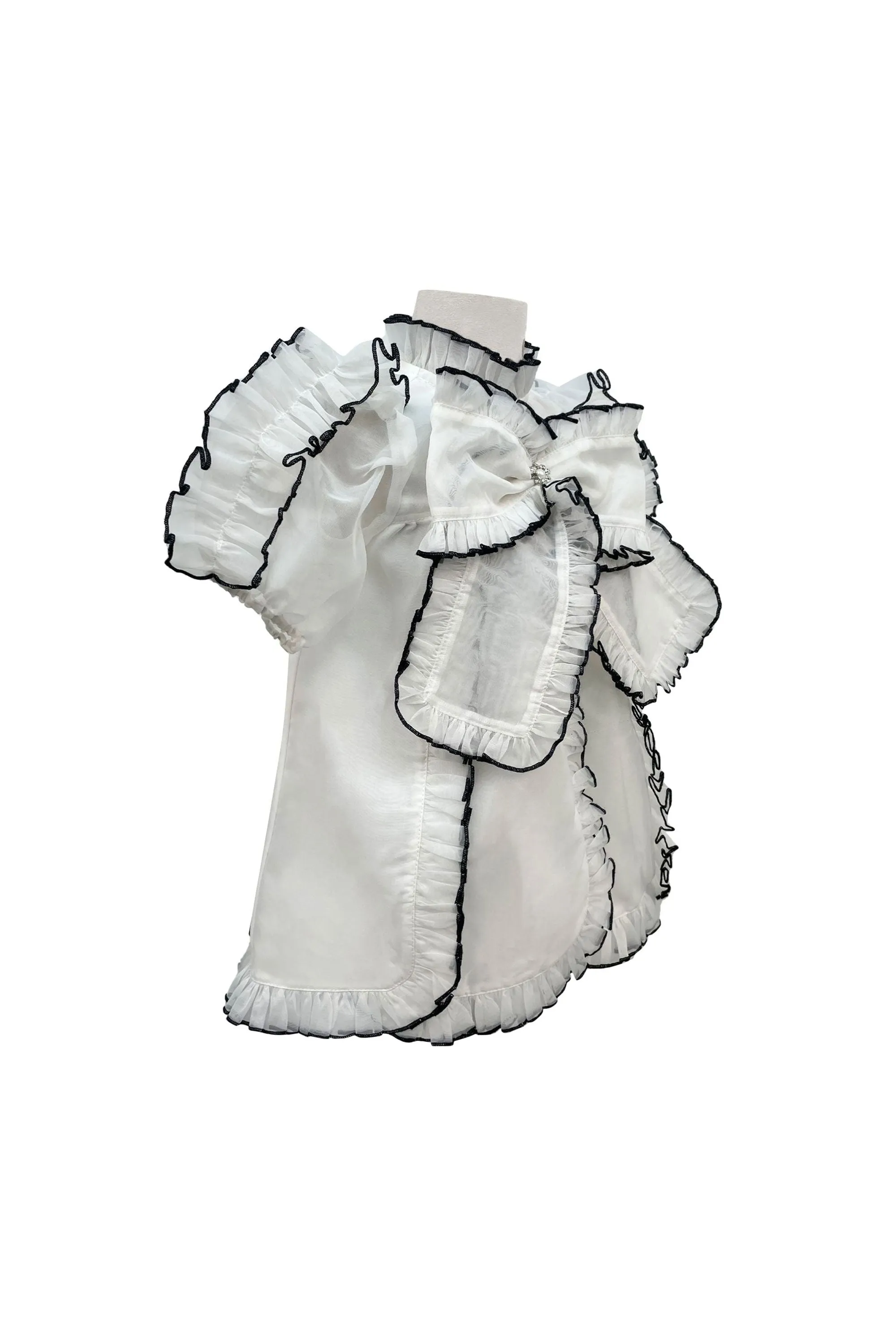The Sienna Organza Dress (White)